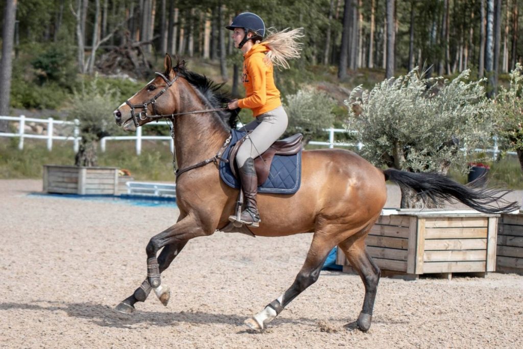 Do Saddles Hurt Horses Equestlife