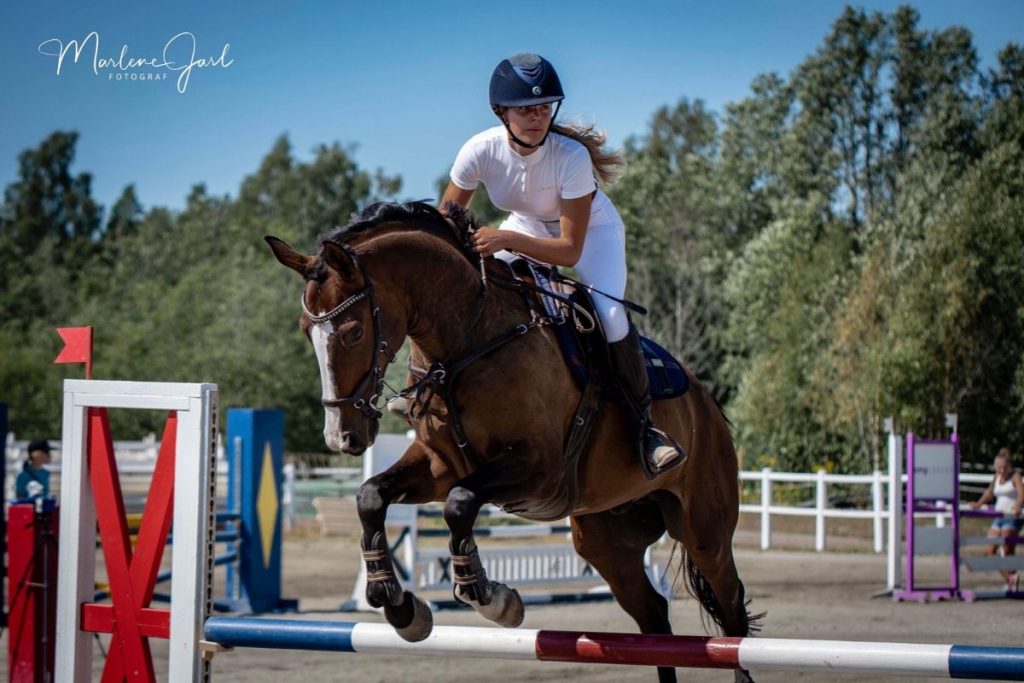 Horses & Their Passengers: Carry Capacity, Weight, & Saddles.