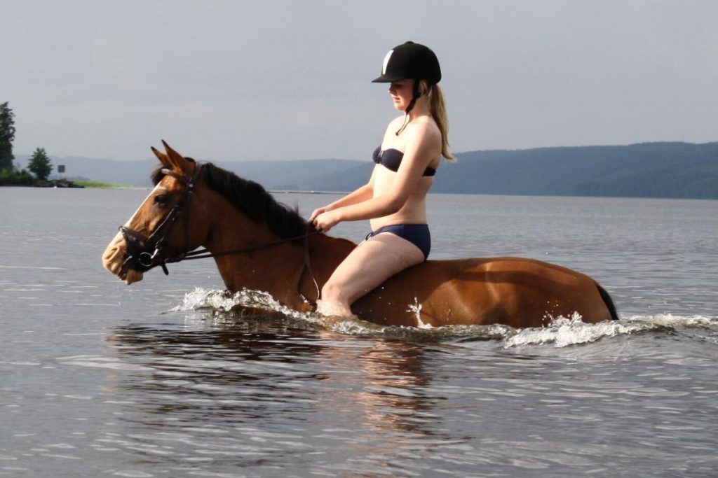 Horse & Swimming: Can They, & Should They? 