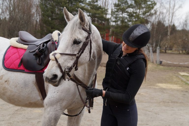 White Hair in Horses: What Is Normal and What Isn’t