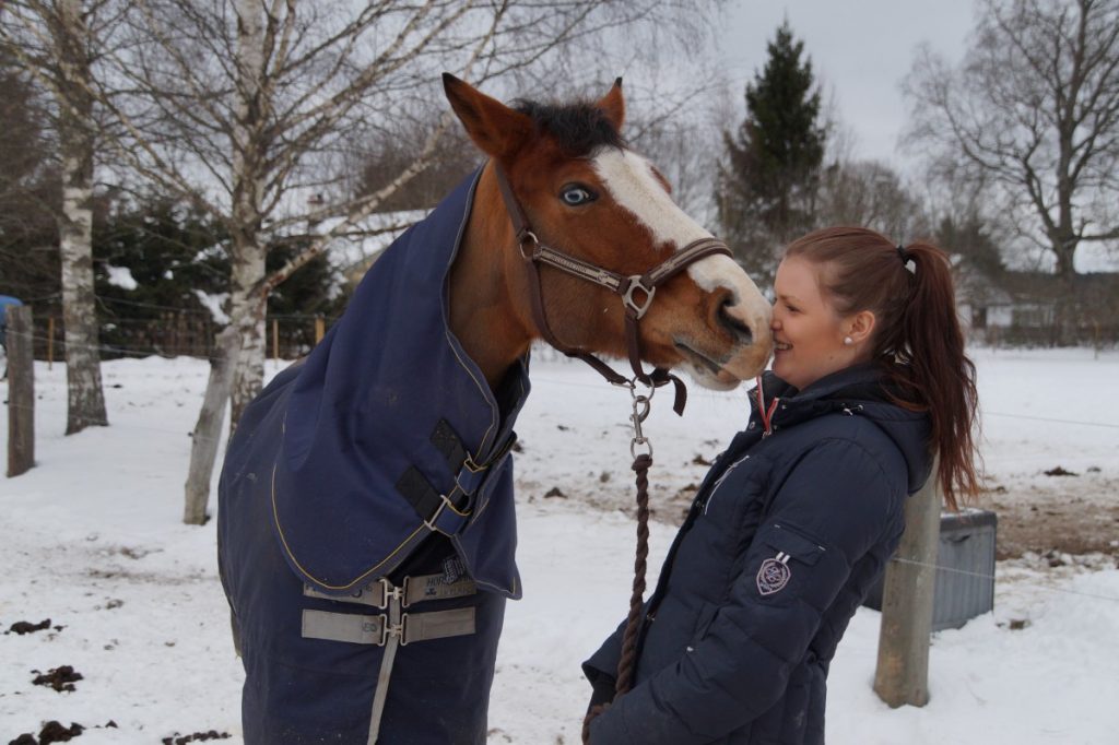 Horse Licking