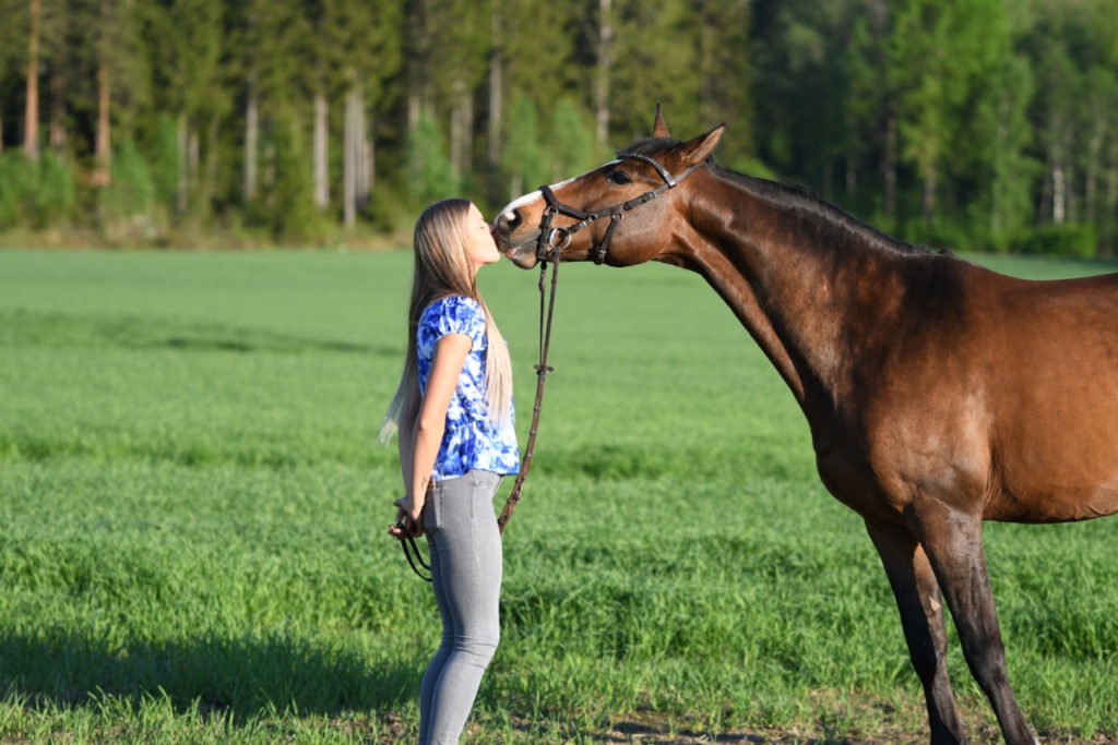 Can You Keep A Horse In A Garden? – Equestlife