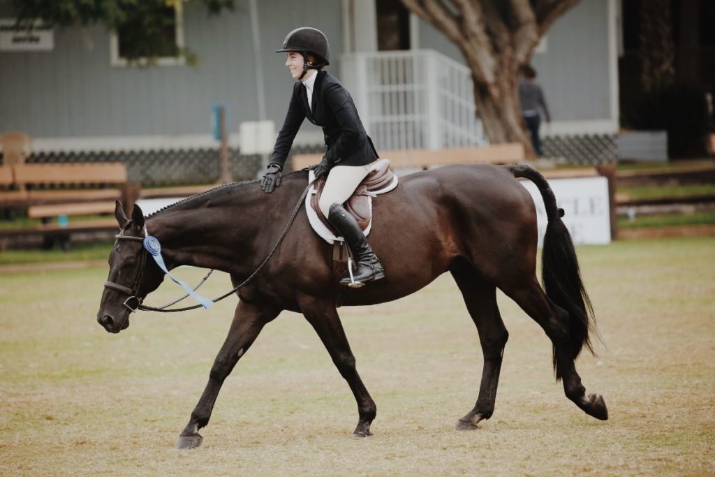 why-do-my-knees-hurt-after-horse-riding-equestlife