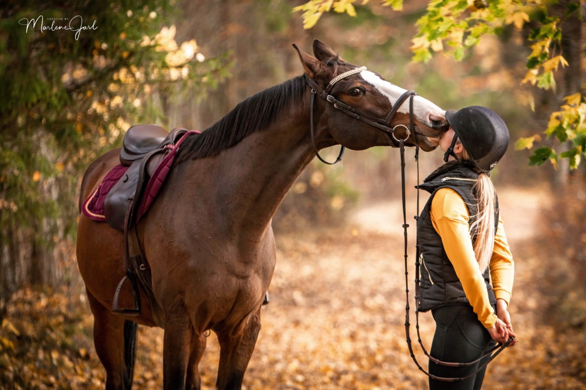 Does Horseback Riding Make Your Bum Bigger? Equestlife